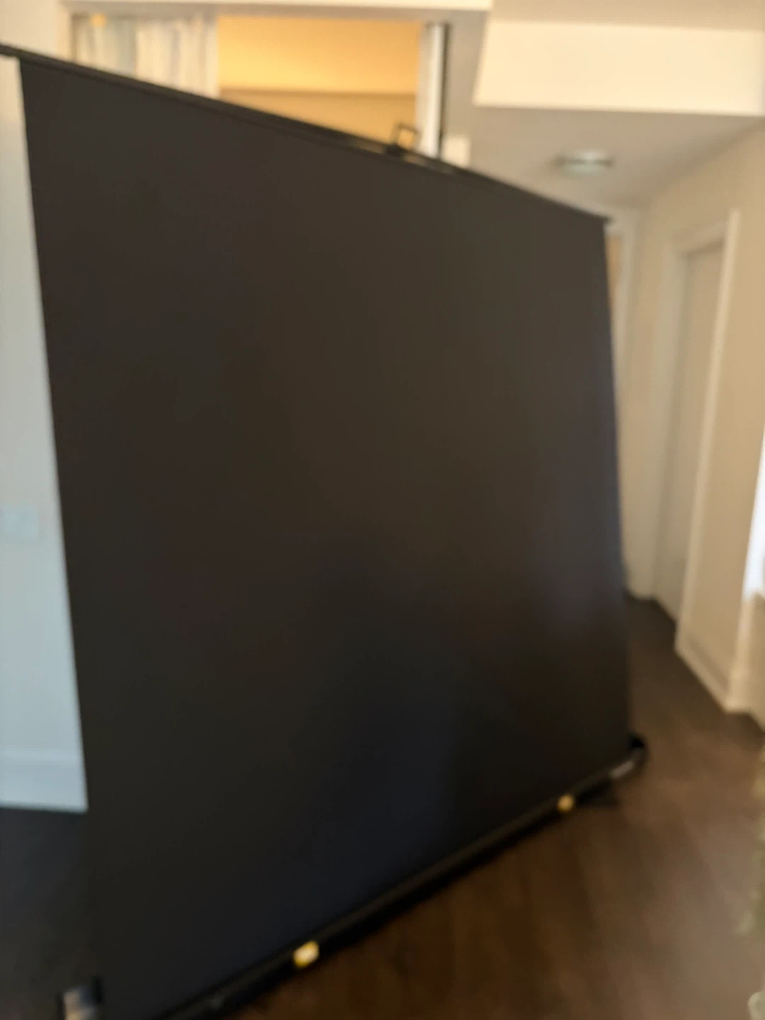 RAUBAY Portable Projector Screen - photo 2