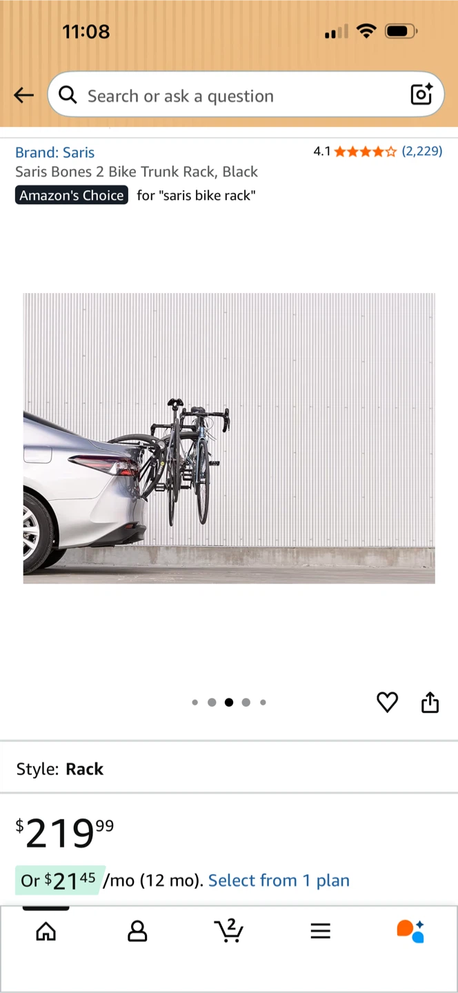 Saris Bones 2 Bike Trunk Rack - Black - photo 3
