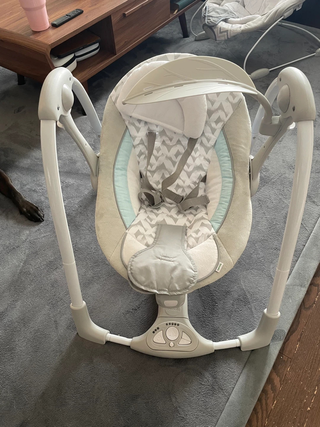 Ingenuity Baby Swing
