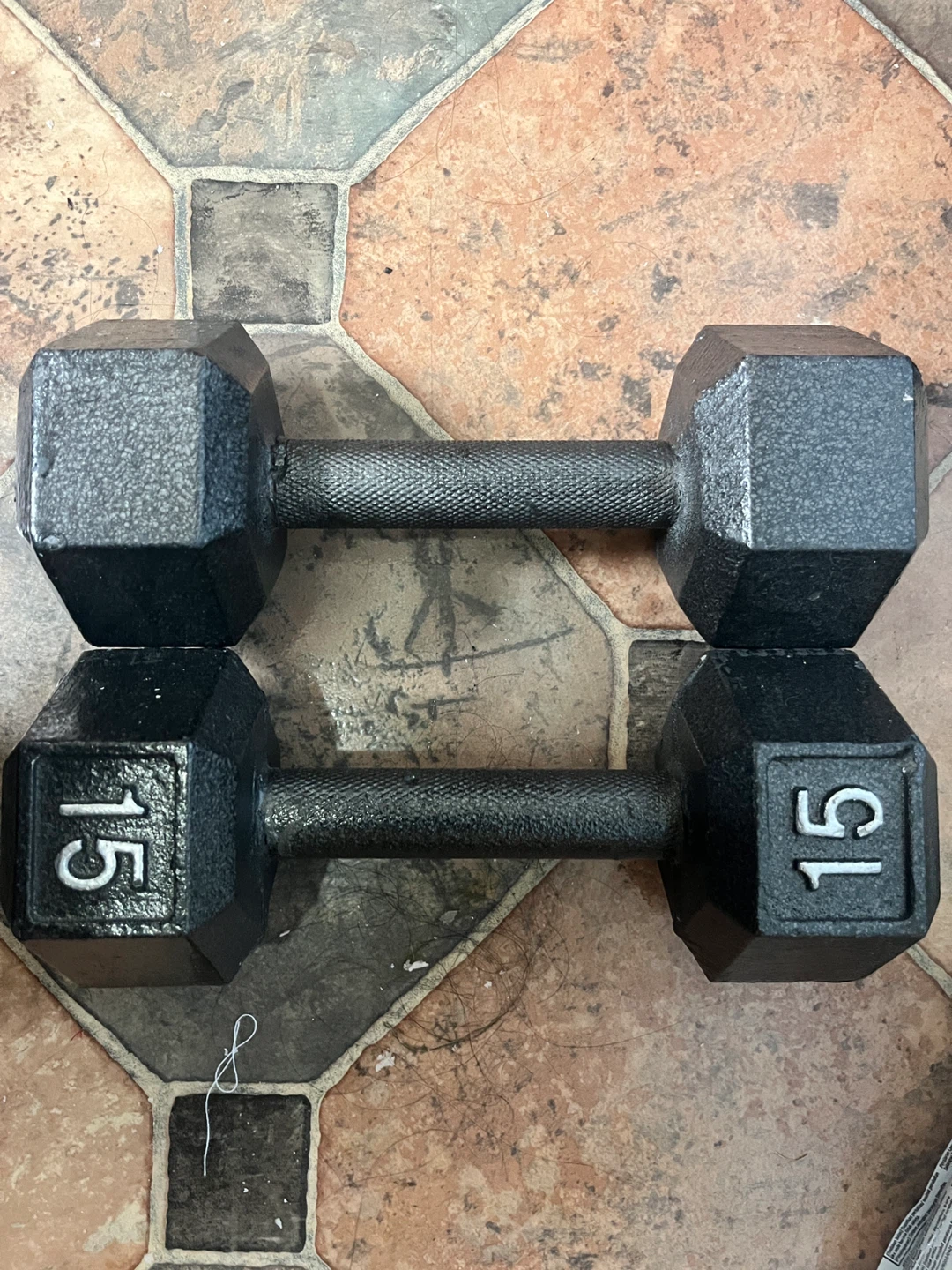 15 lb Dumbbells (Pair)