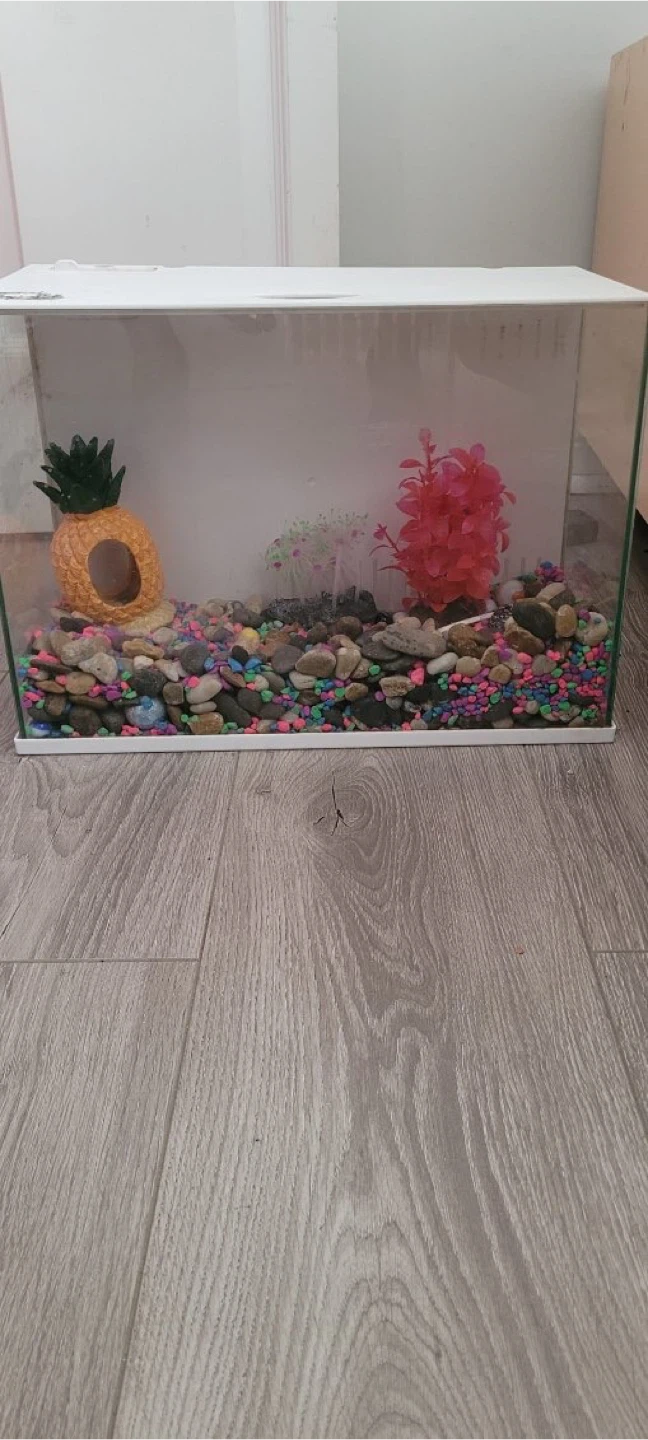 Top Fin 3 Gallon Aquarium - photo 3