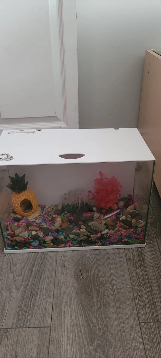 Top Fin 3 Gallon Aquarium