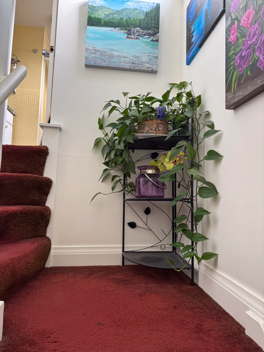 Pothos Plant - photo 3