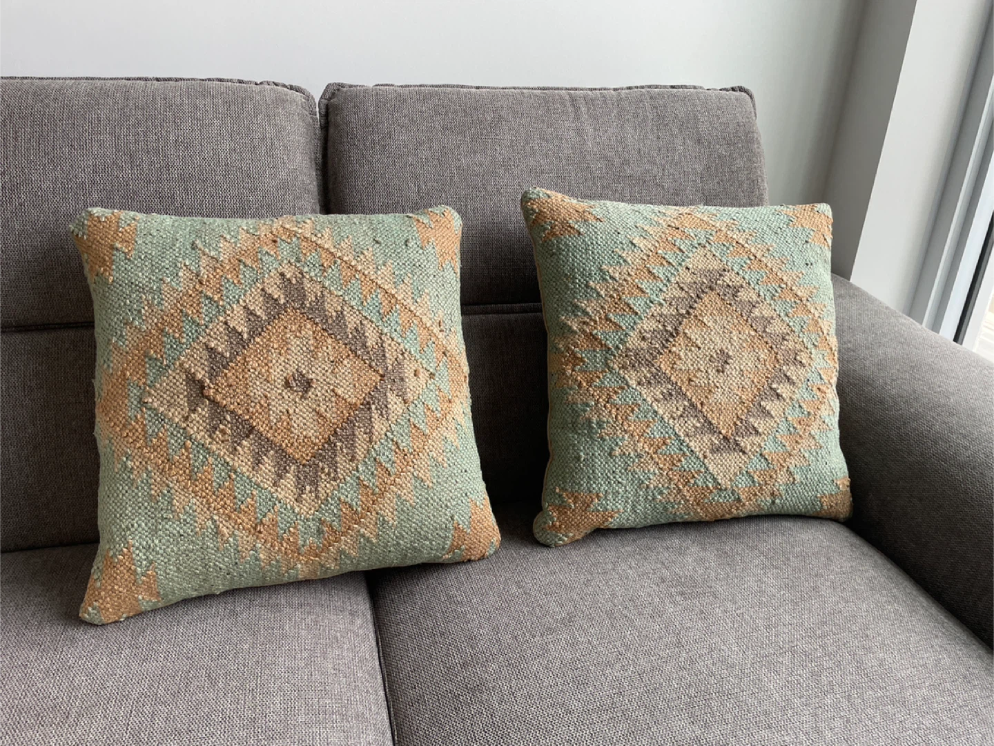 Set of 2 Decorative Throw Pillows