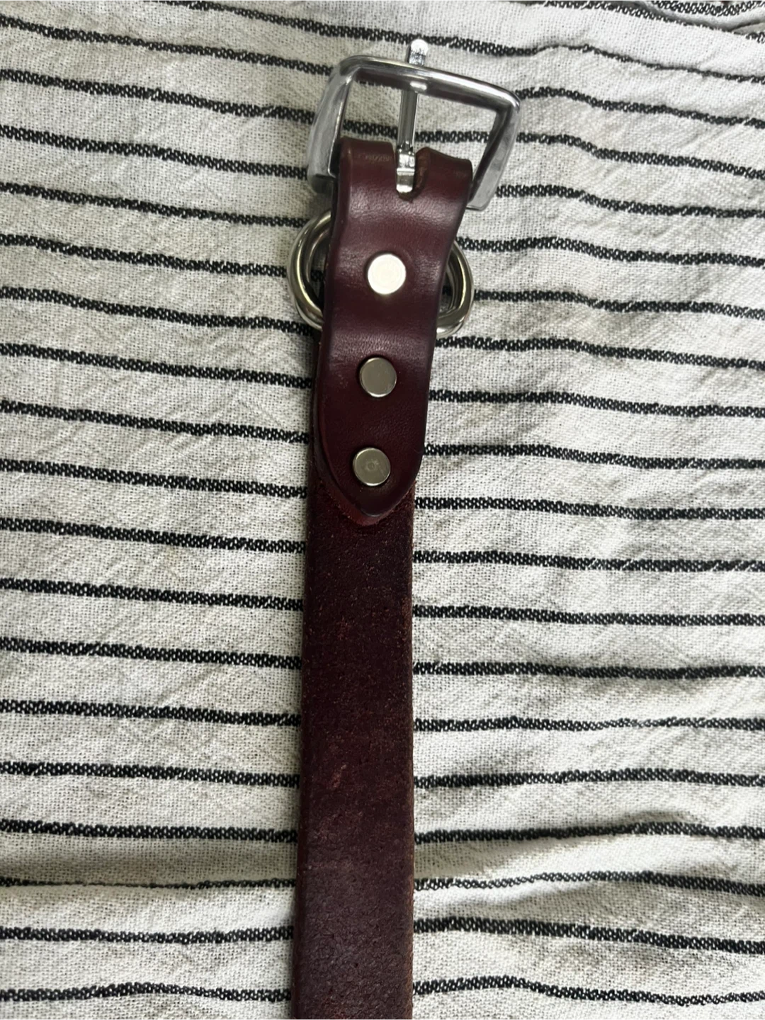Cabelas Leather Dog Collar with Chain Prong