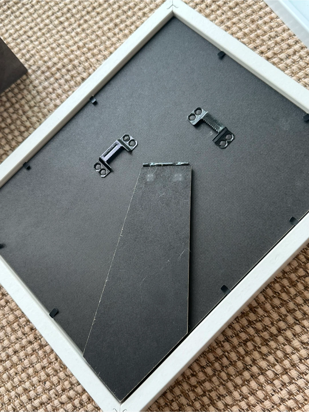 🐍 Real Snake Skeleton Frame - photo 3