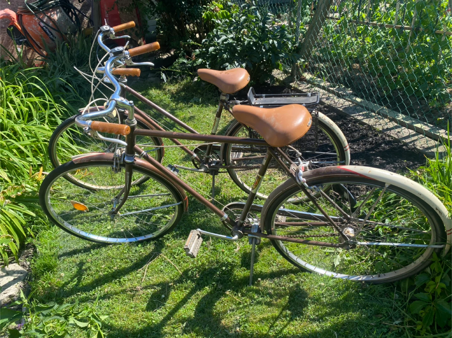 Vintage His and Hers Bicycle’s