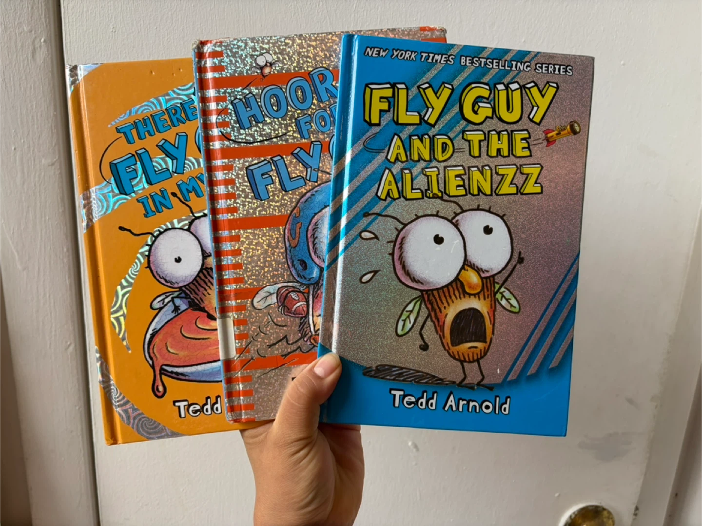 Fly guy books