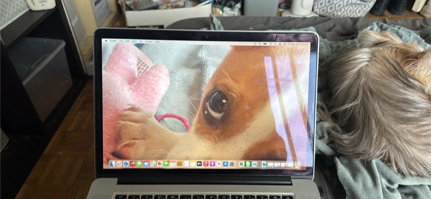 Apple MacBook Pro Laptop