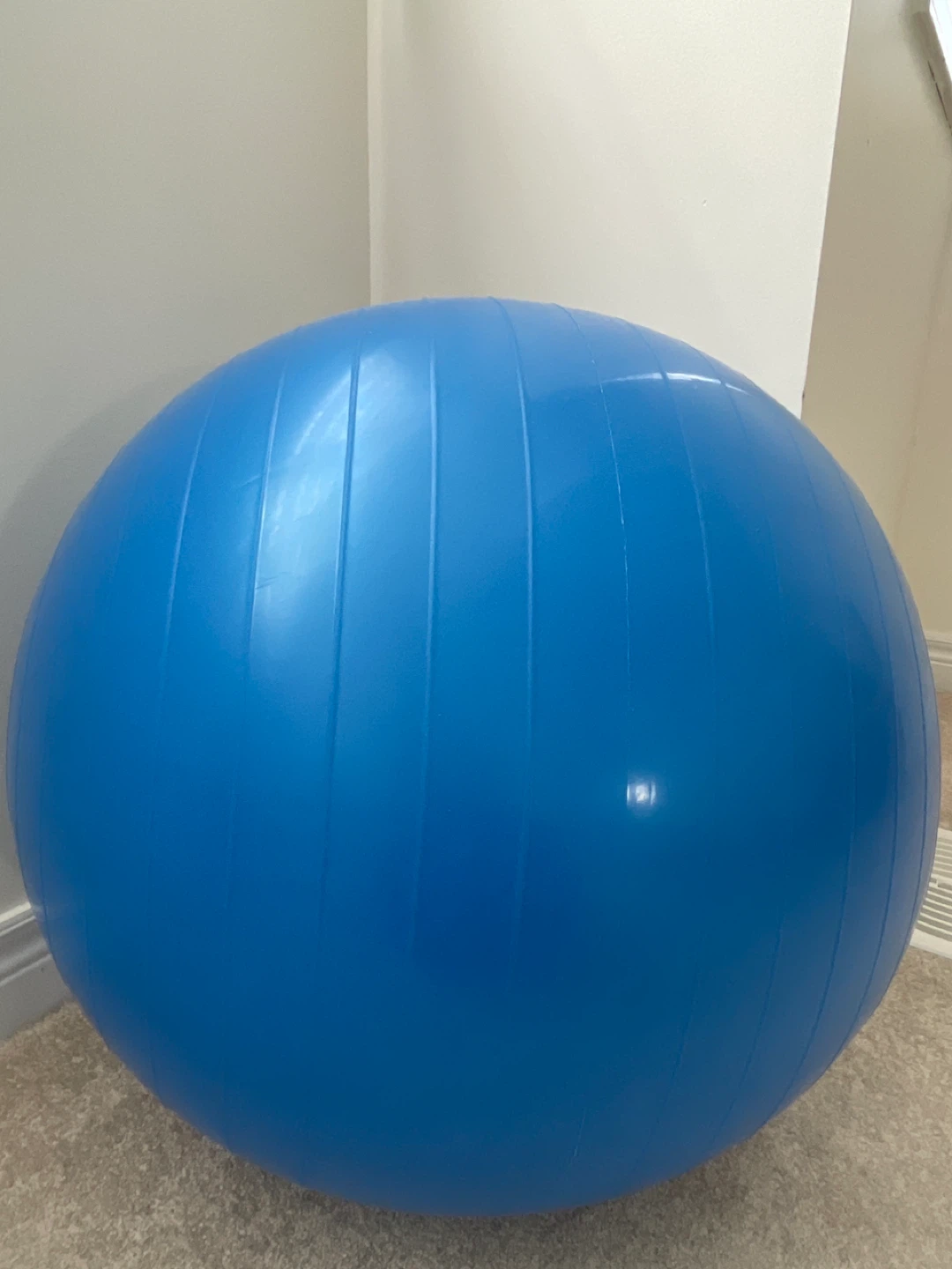 Blue Exercise Ball