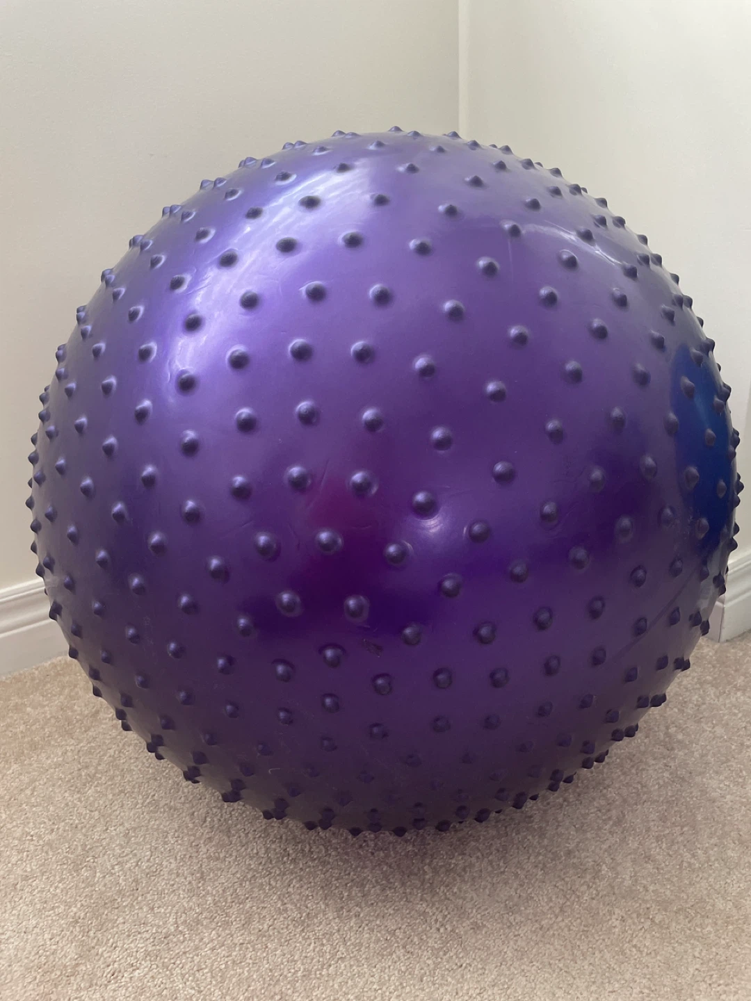 Exercise Ball