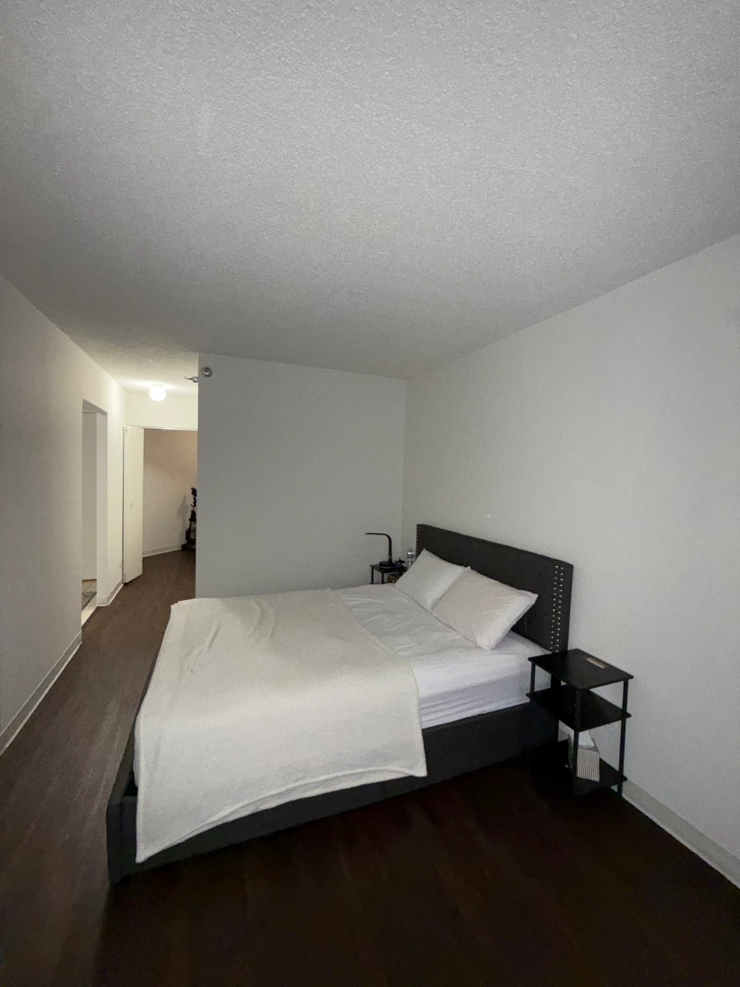 Furnished Convertible Studio- sublet June 1 - photo 3