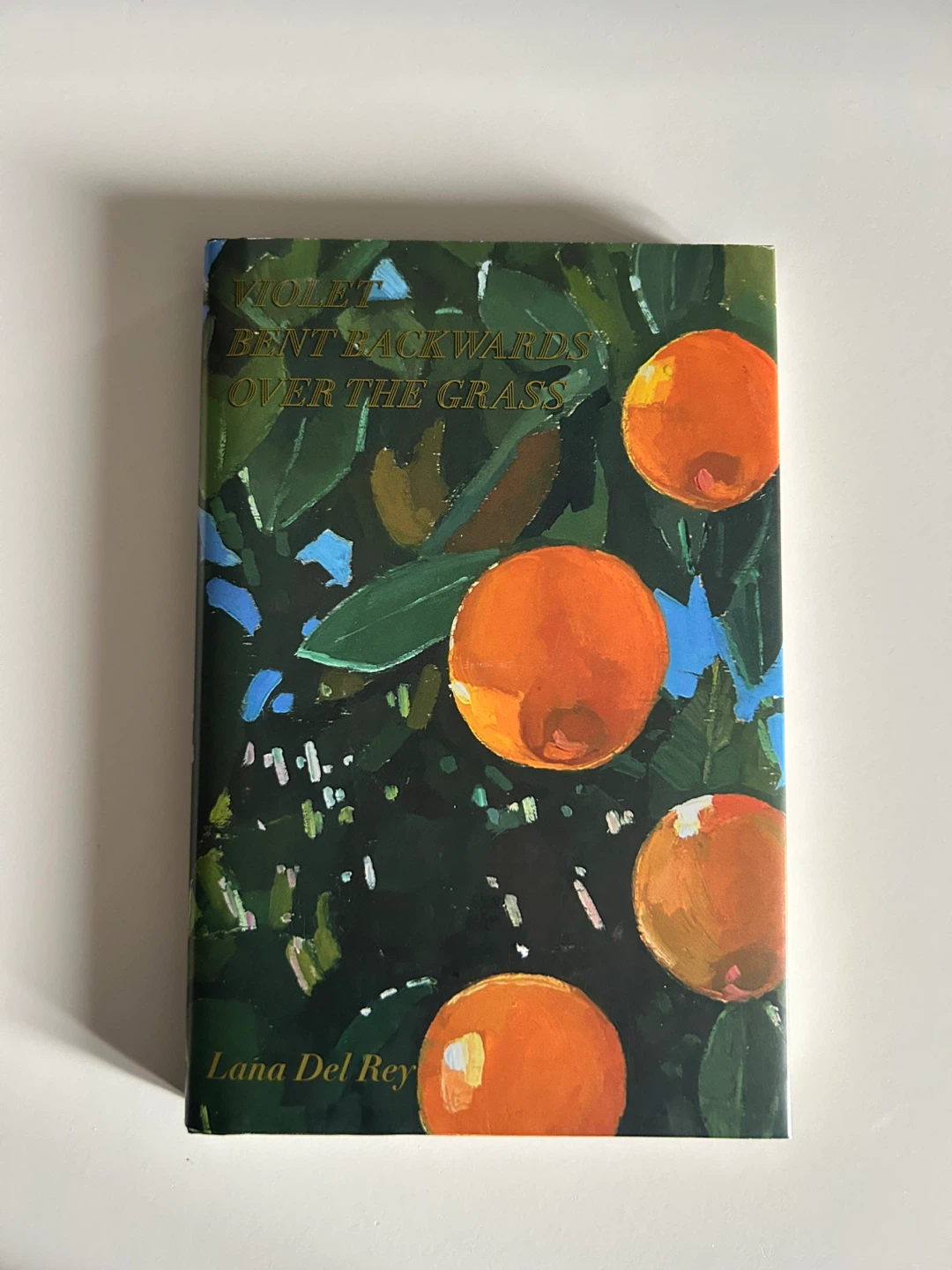Violet Bent Backwards Over the Grass Poetry Book by Lana Del Rey