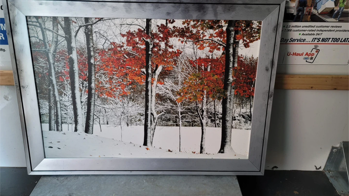 Framed Print: Autumn Trees in Snow 42 by 32 inches