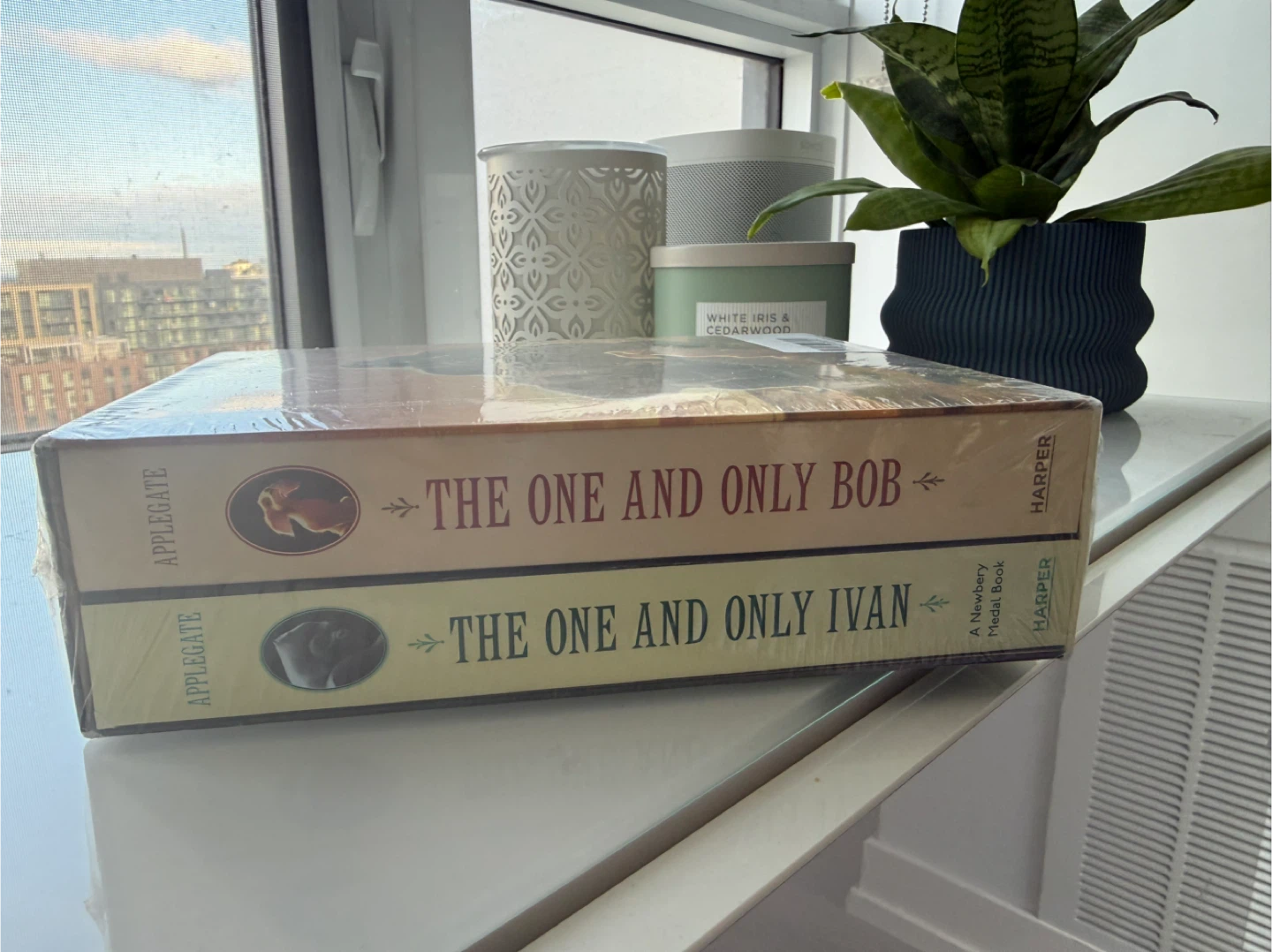 Ivan and Friends Collection Books box set by Katherine Applegate
