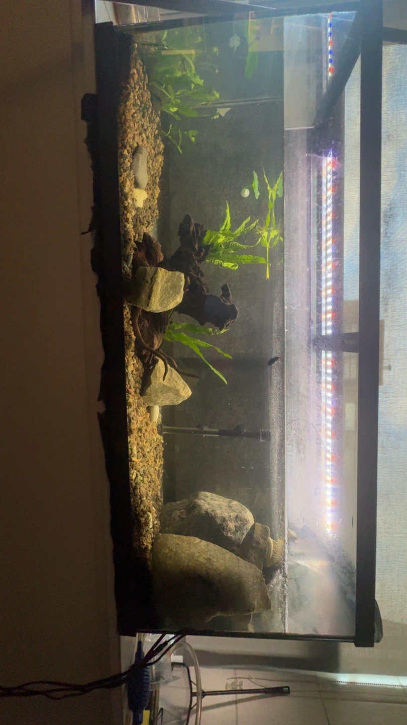 Glass Aquarium Tank(tank only ) - photo 2