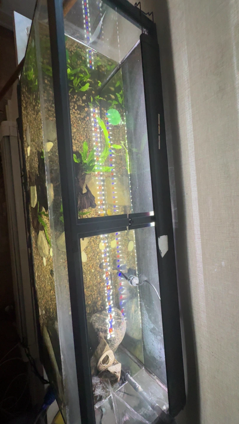 Glass Aquarium Tank(tank only ) - photo 3
