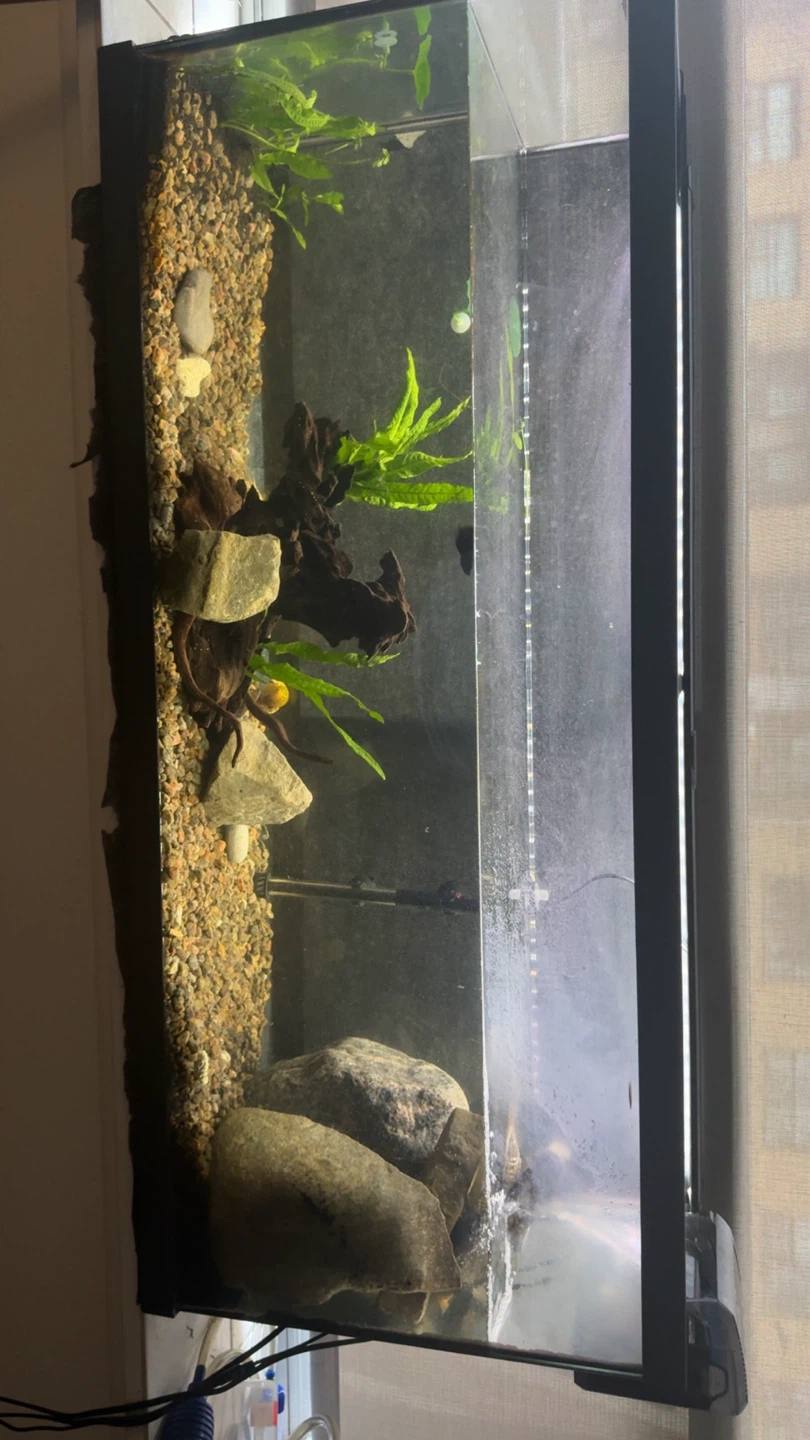 Glass Aquarium Tank(tank only )