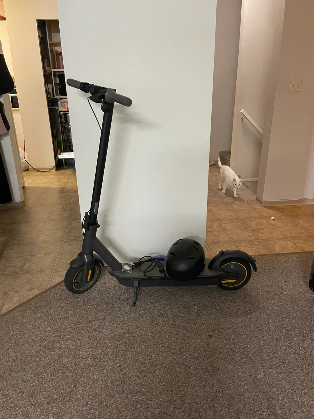 Segway Ninebot E-Scooter with Helmet