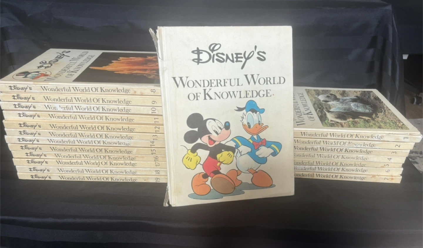 Disney's Wonderful World of Knowledge Book Set