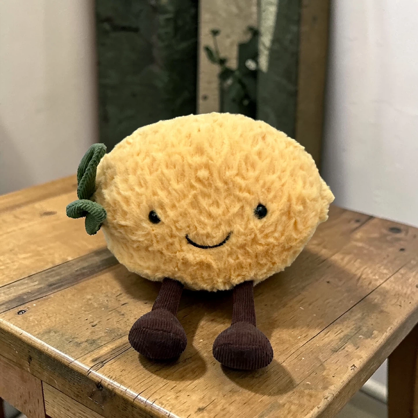 🍋𝐀𝐔𝐓𝐇𝐄𝐍𝐓𝐈𝐂 𝐉𝐞𝐥𝐥𝐲𝐜𝐚𝐭 𝐀𝐦𝐞𝐮𝐬𝐚𝐛𝐥𝐞𝐬 𝐋𝐞𝐦𝐨𝐧🍋
