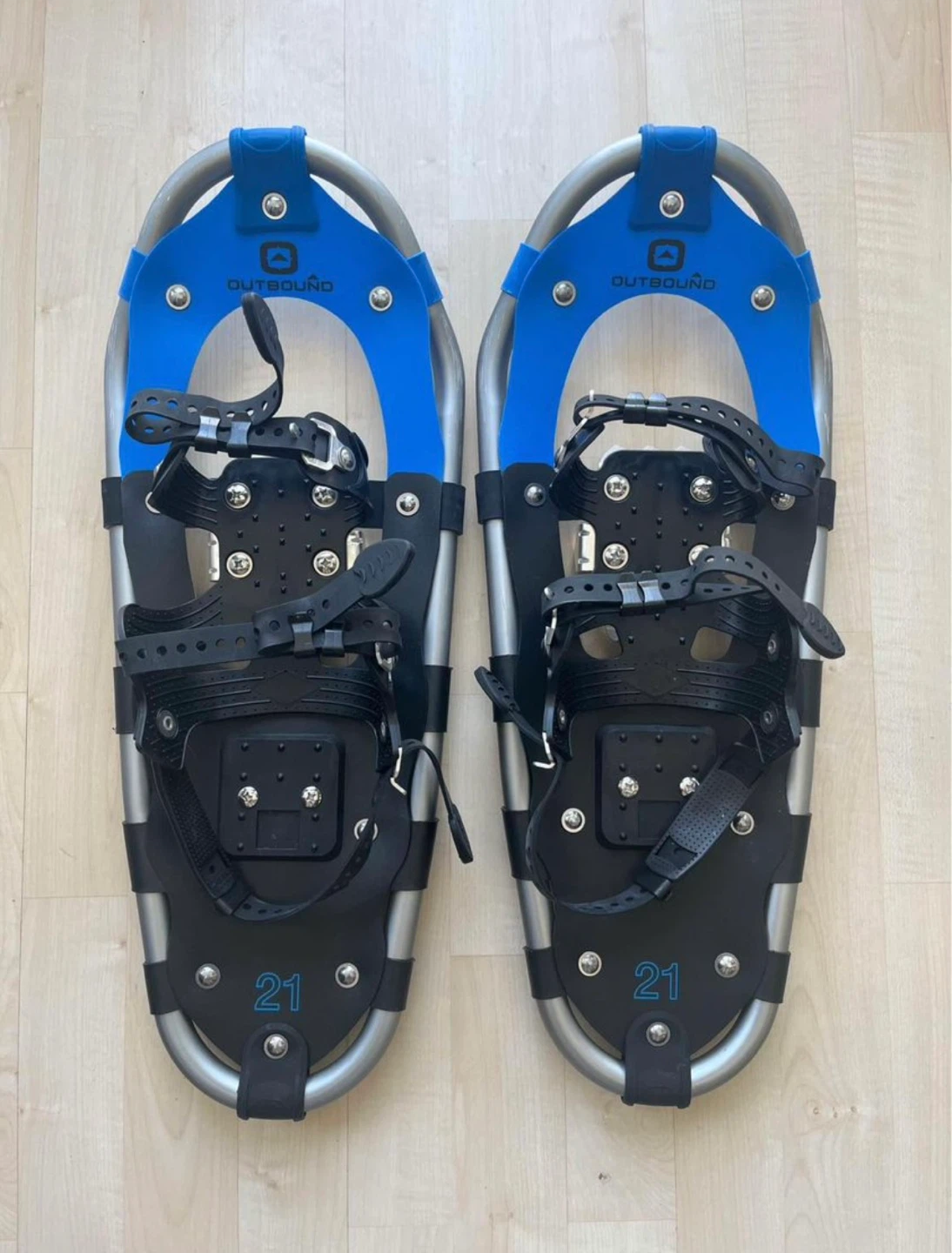 Snowshoes, Poles & Bag
