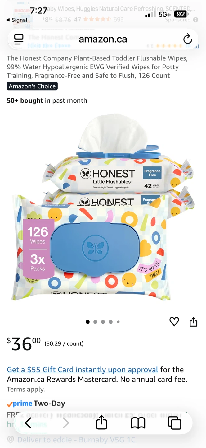 The Honest Flushable Wipes, 126 Count