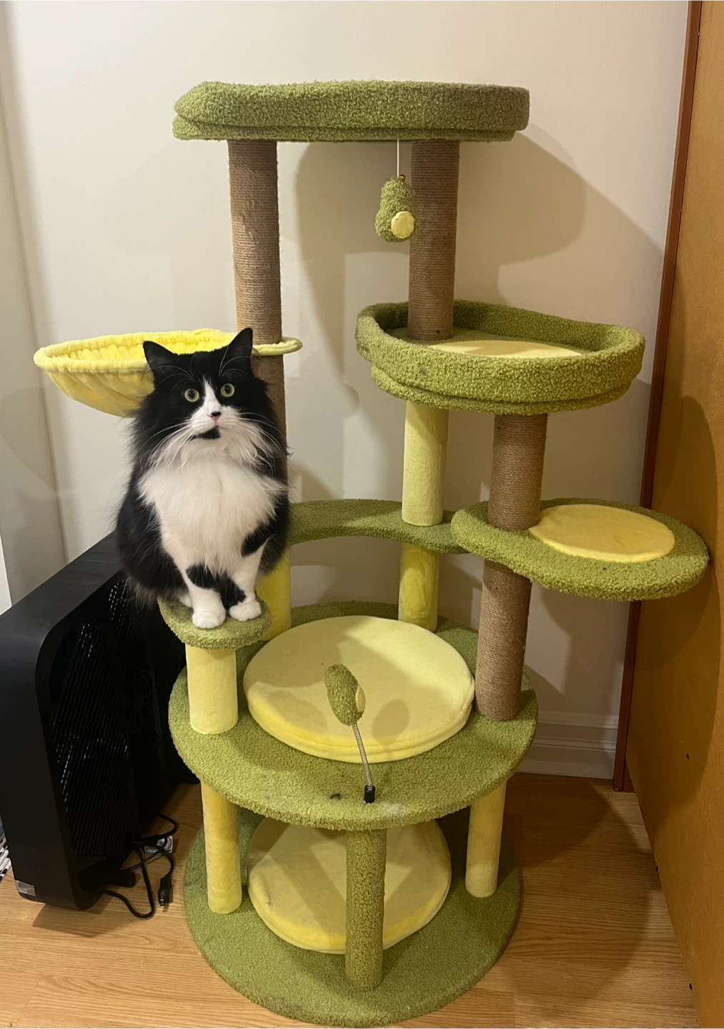 Avocado Cat Tower/Tree