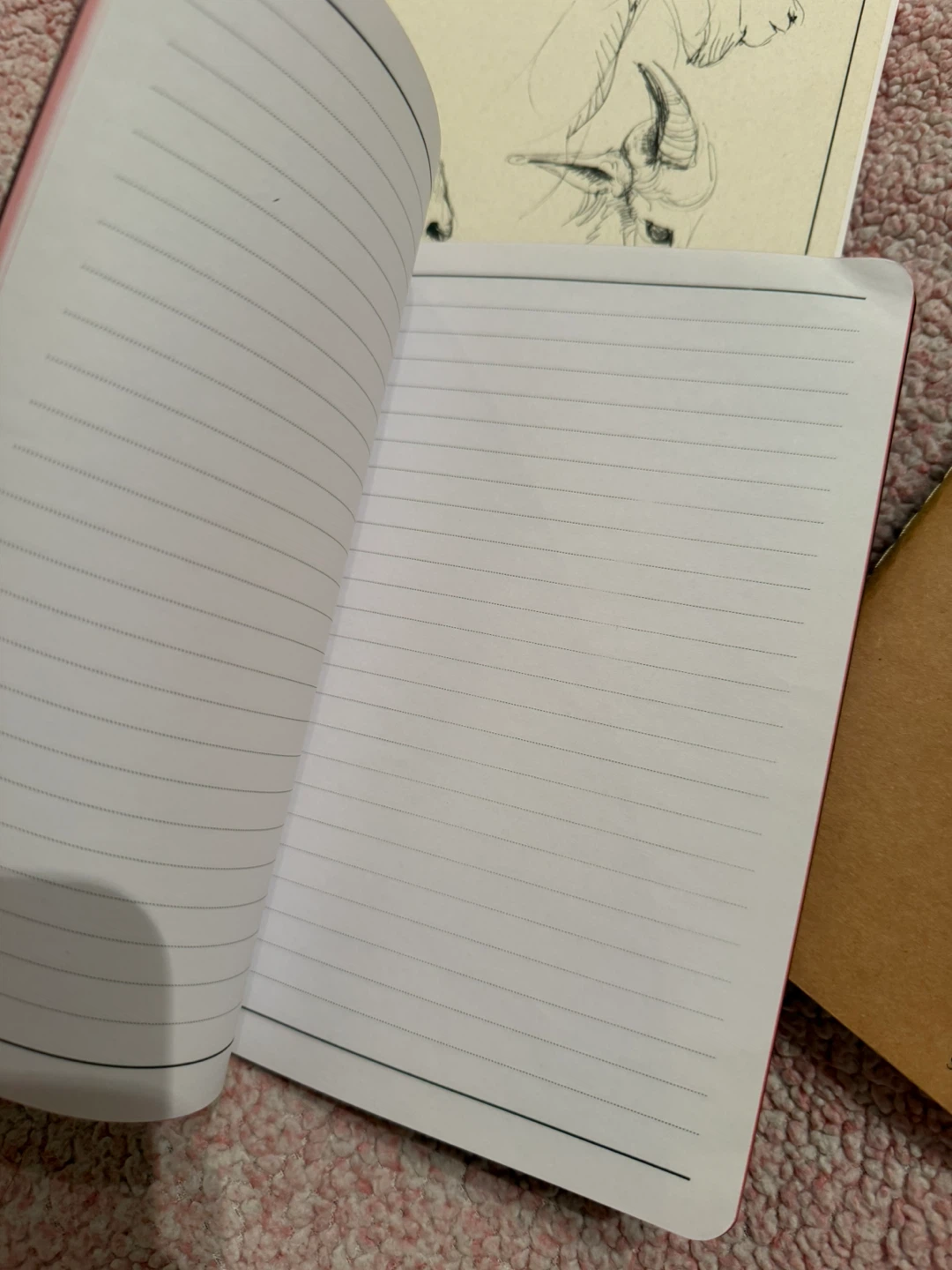 2 new notebook+ 1artist sketchbook(31sheets)+posters - photo 3