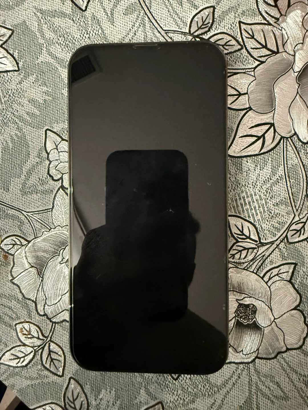Apple iPhone 13 Pro Max - photo 2