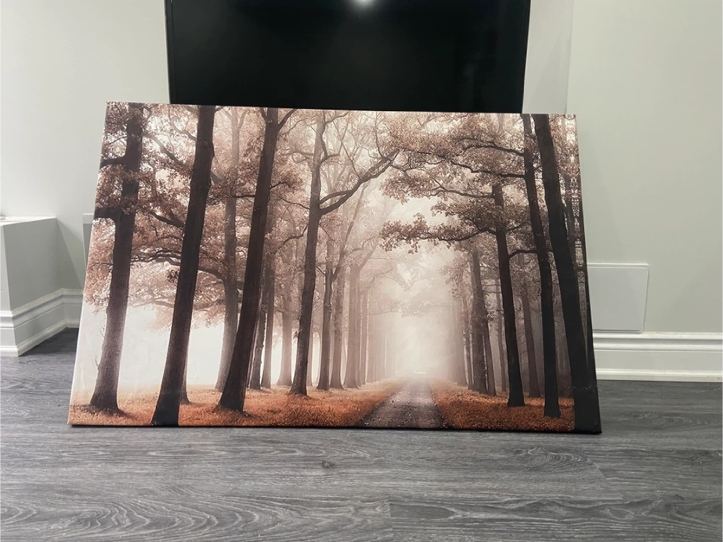 Canvas Wall Art - Forest Path & Feather Designs - photo 3