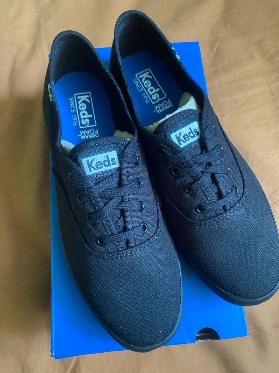 Keds Champion Women's Shoes Size 7. BNIB