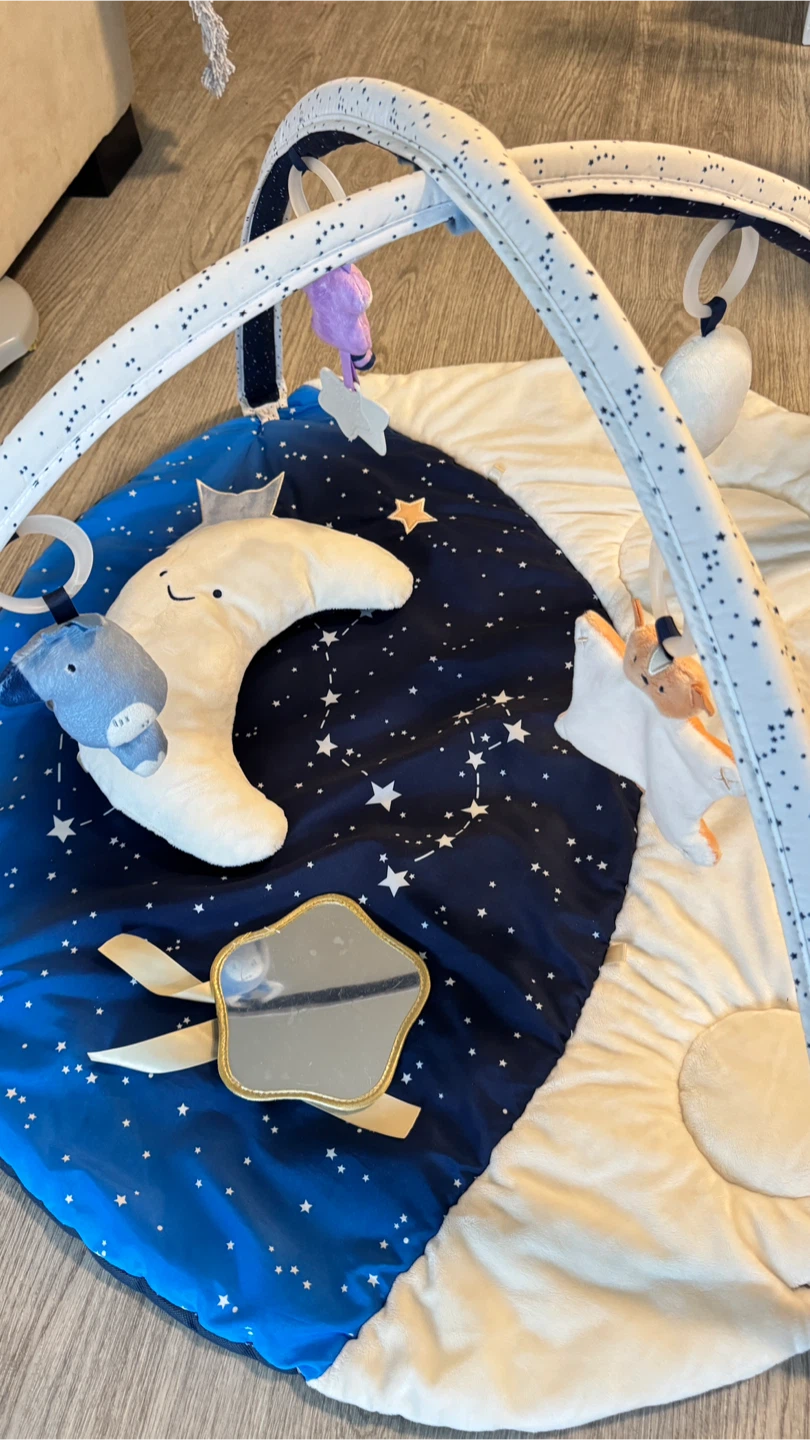 Skip Hop Baby Play Mat with Arch and Toys