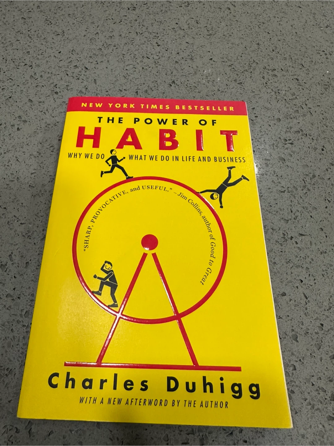The Power of Habit by Charles Duhigg - photo 3