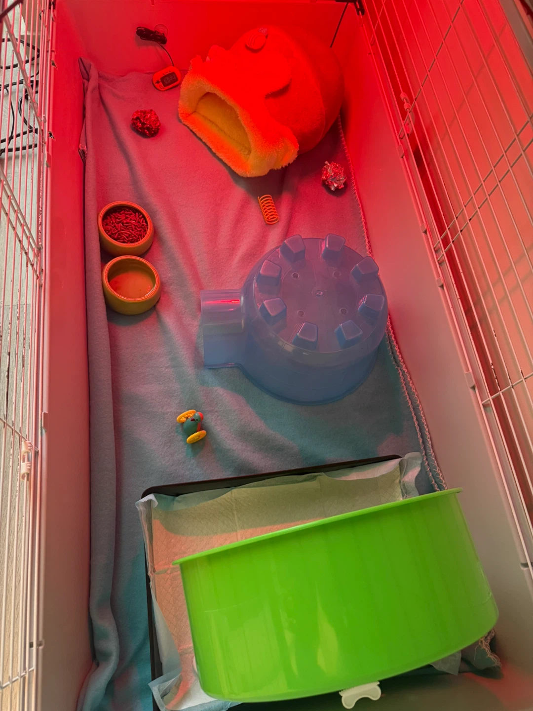 Complete Hedgehog Set Up - photo 5