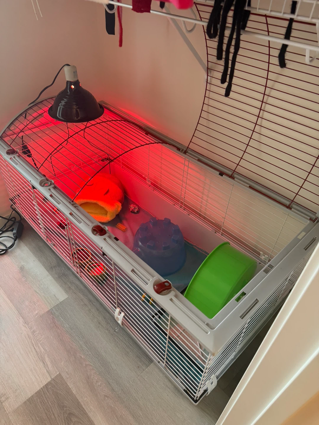 Complete Hedgehog Set Up