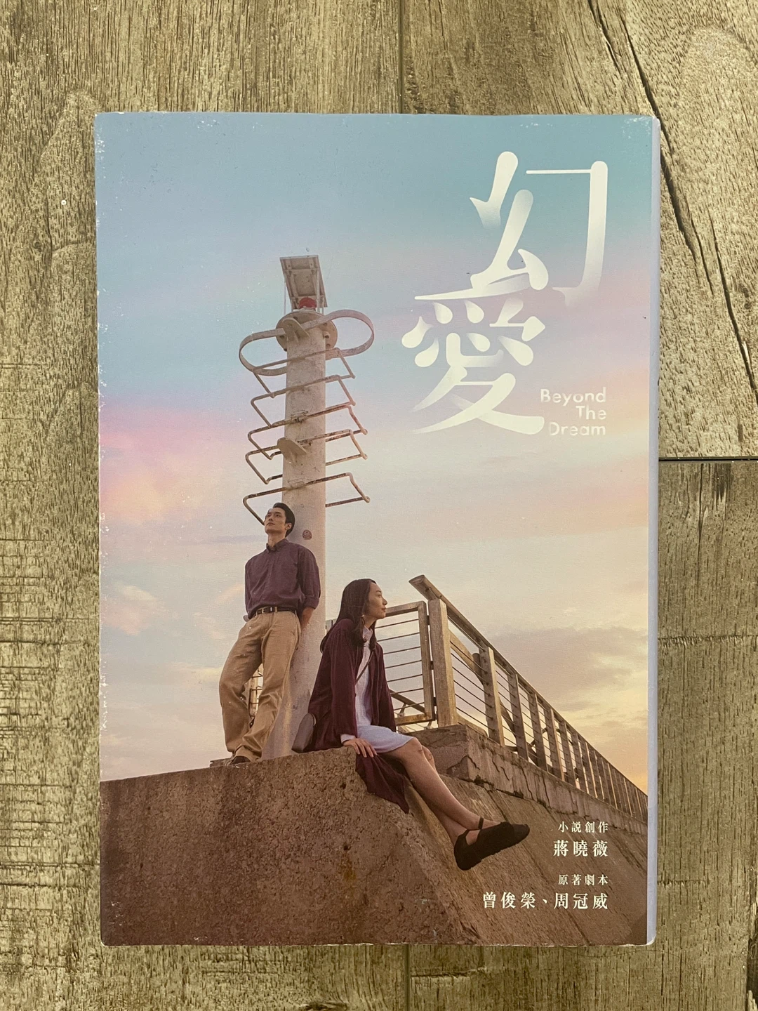 Traditional Chinese Fiction Book - Beyond the dream