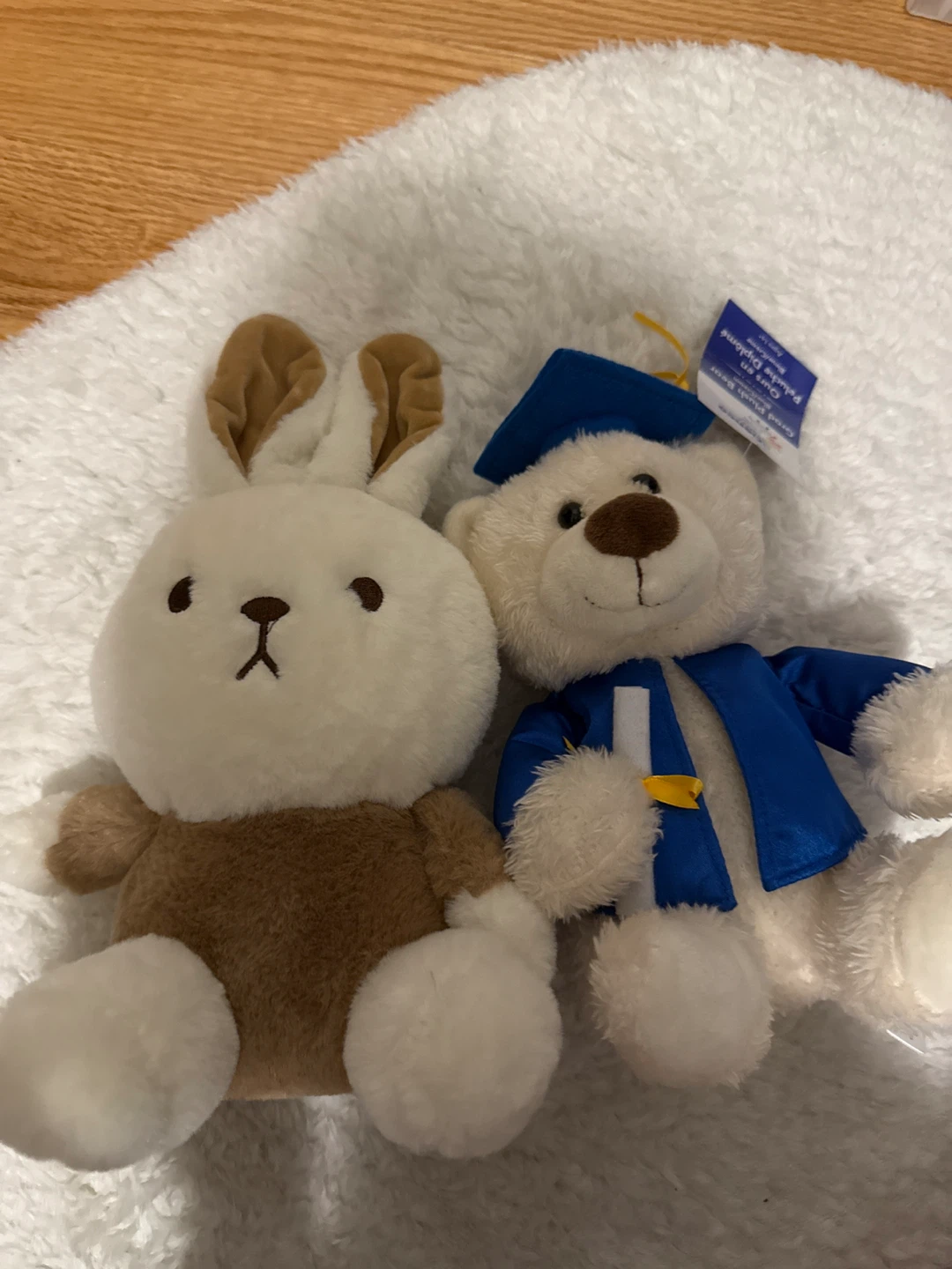 Plush Bunny and Graduation Bear Set