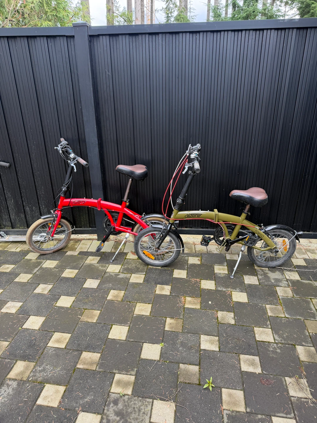 Citizen Folding Bike - Red & Green