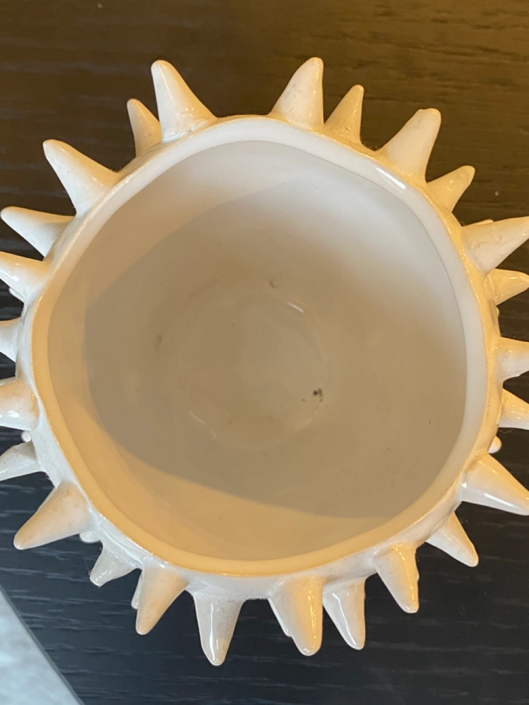 Unique Spiky Ceramic Planter Pot - photo 4