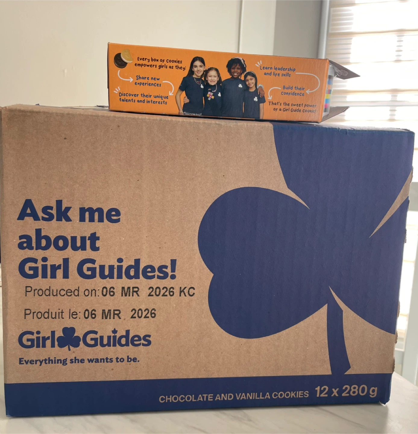 🍪 Girl Guides Chocolate & Vanilla Cookies – $6/box - photo 2