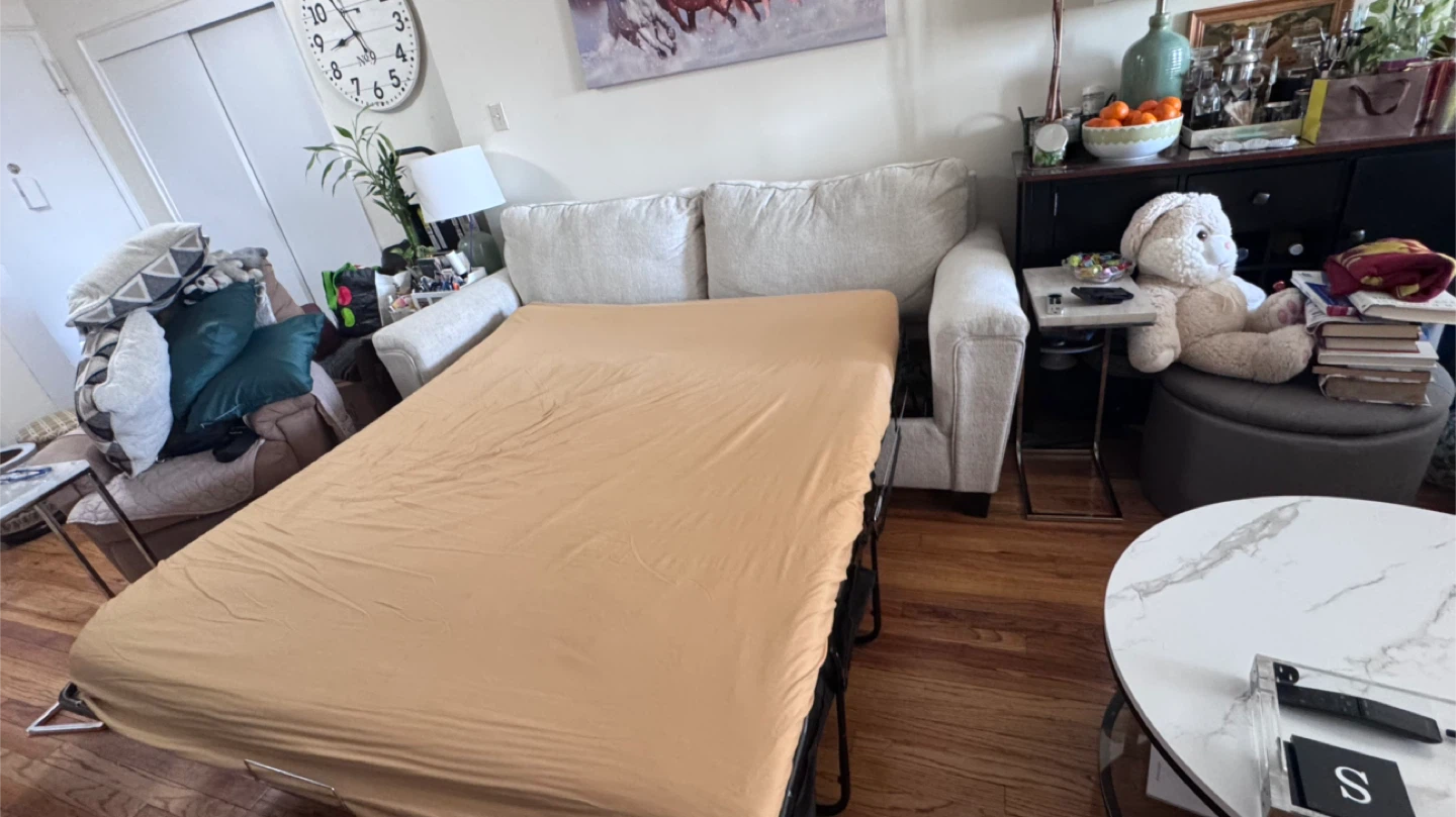 Sofa Bed with Throw Pillows - photo 4