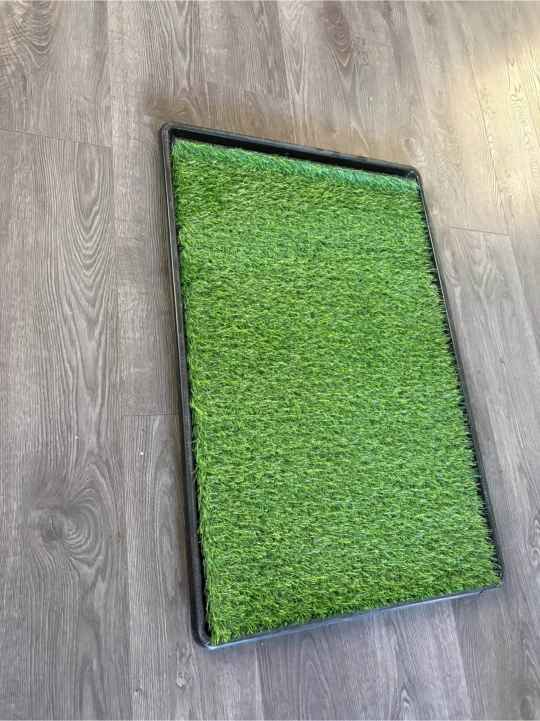 Artificial Grass Pet Potty Pad Tray - photo 3