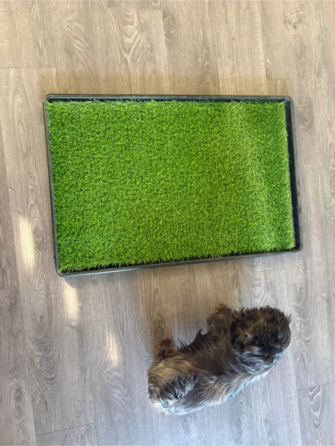 Artificial Grass Pet Potty Pad Tray