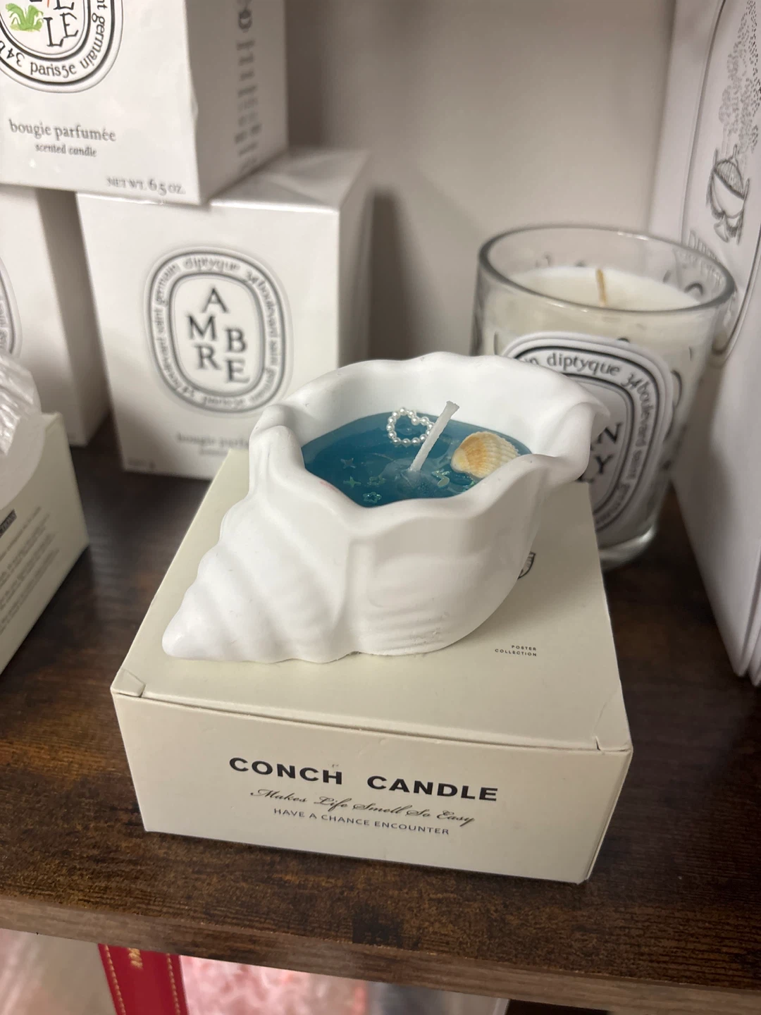 Conch Candle