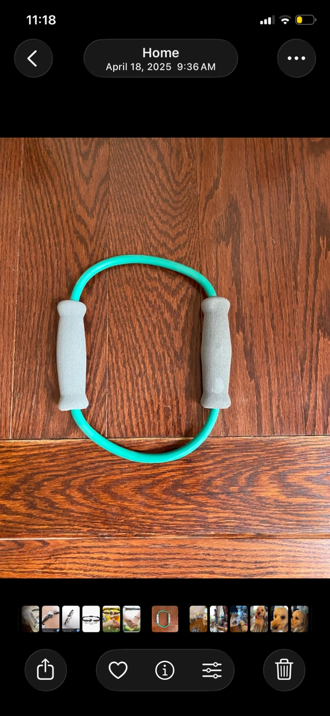 Fitness Resistance Ring