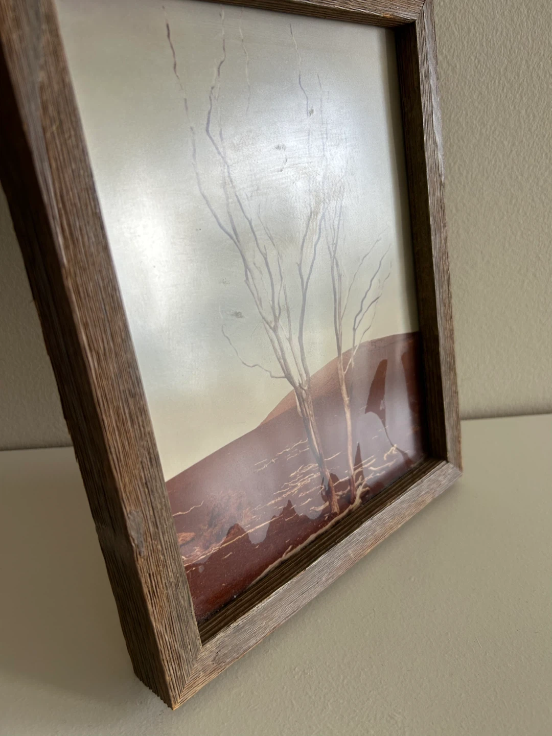 Framed photography Print - Bare Trees - photo 2
