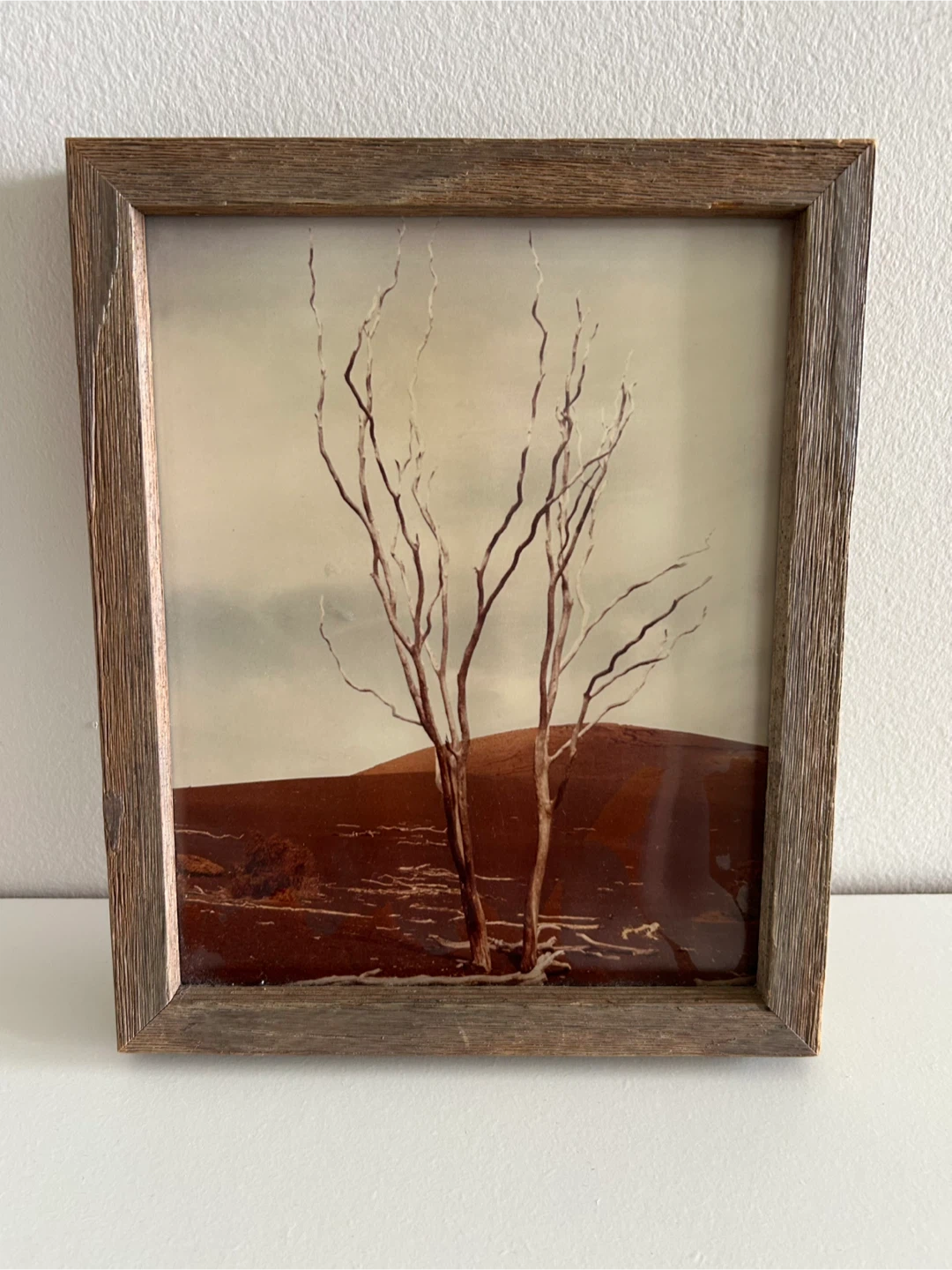 Framed photography Print - Bare Trees