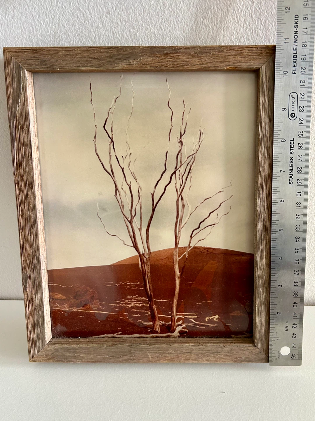 Framed photography Print - Bare Trees - photo 5