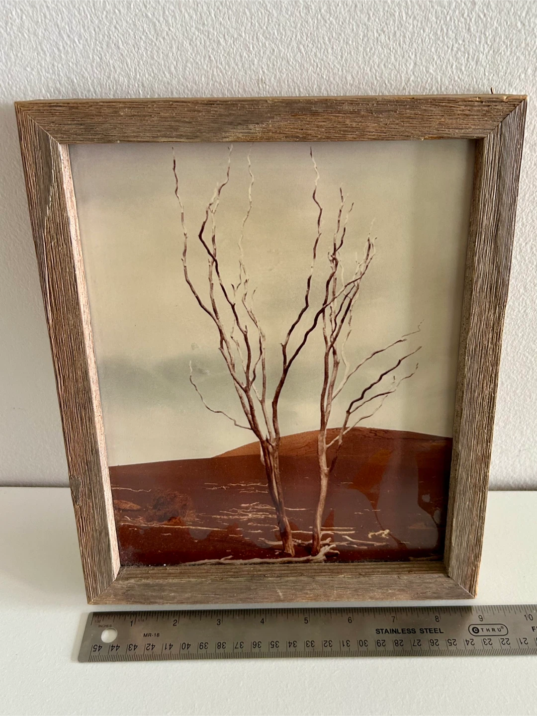 Framed photography Print - Bare Trees - photo 4